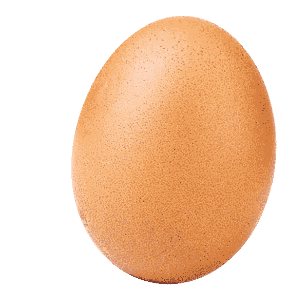 Egg bounce